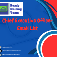 chiefexecutive47