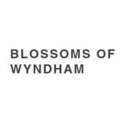 blossomofwyndham